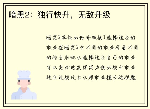 暗黑2:独行快升,无敌升级